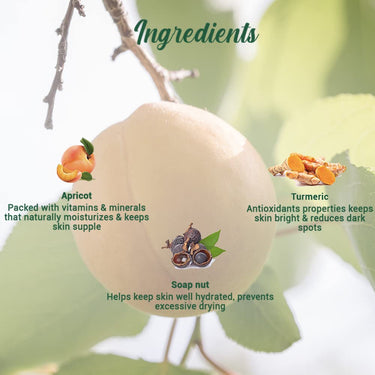 Biotique Apricot Refreshing Body Wash | Keeps Skin Fresh and Clean | Brightens Skin and Reducing Dark Spots | 100% Botanical Extracts | Suitable for All Skin Types | 200ml